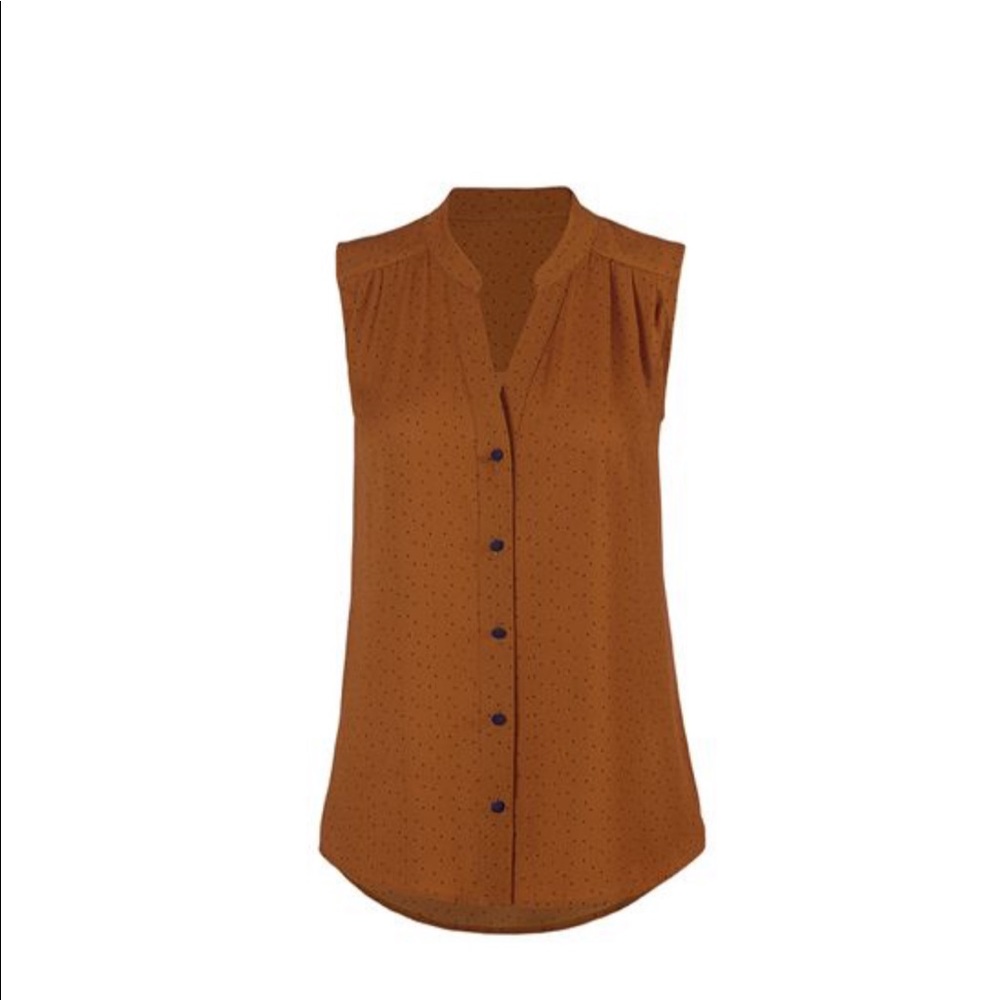 CAbi Fall 2020 NWT Dotty Top Large